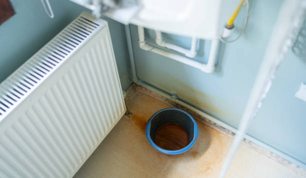 Best Flood restoration services  in Miami, FL