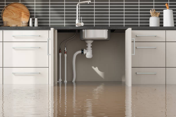 Best Professional water damage repair  in Miami, FL