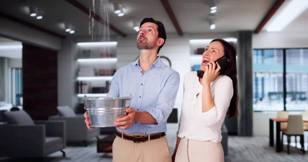 Best Basement water damage restoration  in Miami, FL